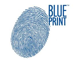Blue Print ADN12238