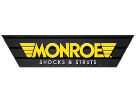 Monroe 26650